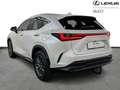 Lexus NX 450h+ Executive Line AWD Blanc - thumbnail 3