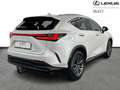 Lexus NX 450h+ Executive Line AWD Blanc - thumbnail 17