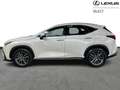Lexus NX 450h+ Executive Line AWD Blanc - thumbnail 5