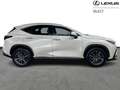 Lexus NX 450h+ Executive Line AWD Blanc - thumbnail 16