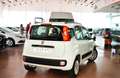 Fiat Panda 1.2 Lounge Blanco - thumbnail 4
