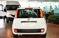 Fiat Panda 1.2 Lounge Blanco - thumbnail 5