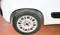 Fiat Panda 1.2 Lounge Blanco - thumbnail 32