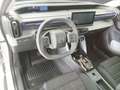 Citroen C3 ë 113 VAN (Laderaumerweiterung) Weiß - thumbnail 12