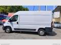 Fiat Ducato 35 3.0 CNG PM-TM RIVESTITO TRASP. ALIMENTI/ FARMAC Bianco - thumbnail 8