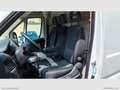 Fiat Ducato 35 3.0 CNG PM-TM RIVESTITO TRASP. ALIMENTI/ FARMAC Bianco - thumbnail 13