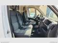 Fiat Ducato 35 3.0 CNG PM-TM RIVESTITO TRASP. ALIMENTI/ FARMAC Wit - thumbnail 17