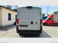 Fiat Ducato 35 3.0 CNG PM-TM RIVESTITO TRASP. ALIMENTI/ FARMAC Bianco - thumbnail 6