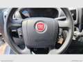 Fiat Ducato 35 3.0 CNG PM-TM RIVESTITO TRASP. ALIMENTI/ FARMAC Blanc - thumbnail 16