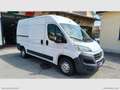 Fiat Ducato 35 3.0 CNG PM-TM RIVESTITO TRASP. ALIMENTI/ FARMAC Blanc - thumbnail 3