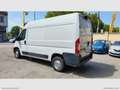 Fiat Ducato 35 3.0 CNG PM-TM RIVESTITO TRASP. ALIMENTI/ FARMAC Bianco - thumbnail 7