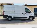 Fiat Ducato 35 3.0 CNG PM-TM RIVESTITO TRASP. ALIMENTI/ FARMAC Bianco - thumbnail 4