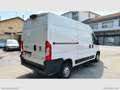 Fiat Ducato 35 3.0 CNG PM-TM RIVESTITO TRASP. ALIMENTI/ FARMAC Blanc - thumbnail 5