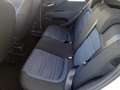 Fiat Punto Evo Punto  Evo 5p 1.3 mjt NEOPATENTATO Bianco - thumbnail 5
