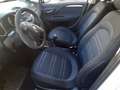Fiat Punto Evo Punto  Evo 5p 1.3 mjt NEOPATENTATO Bianco - thumbnail 8
