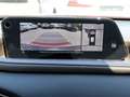 Mazda CX-30 SKYACTIV-X 2.0 M-Hybrid 6GS Edition100 LED HUD BOS Rot - thumbnail 9