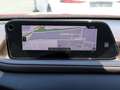 Mazda CX-30 SKYACTIV-X 2.0 M-Hybrid 6GS Edition100 LED HUD BOS Rot - thumbnail 8