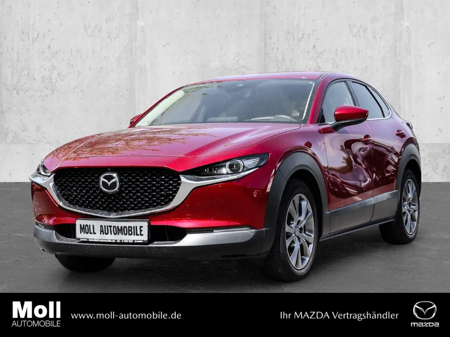 Mazda CX-30 SKYACTIV-X 2.0 M-Hybrid 6GS Edition100 LED HUD BOS Rot - 1