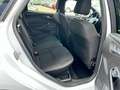 Ford Focus Turnier ST-Line /AUTOMATIK/NAVI/GARANTIE Blanc - thumbnail 14