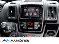 Globe-Traveller Explorer 2X Boxer Abverkauf Modelljahr '24 Grau - thumbnail 5