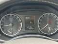 Skoda Octavia Combi 2,0 TDI 4X4 ALLRAD/AHK/KLIMA/TEMPO Argent - thumbnail 13