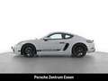 Porsche Cayman 718 Style Edition / Sportabgasanlage Rückfahrkam. Grau - thumbnail 2