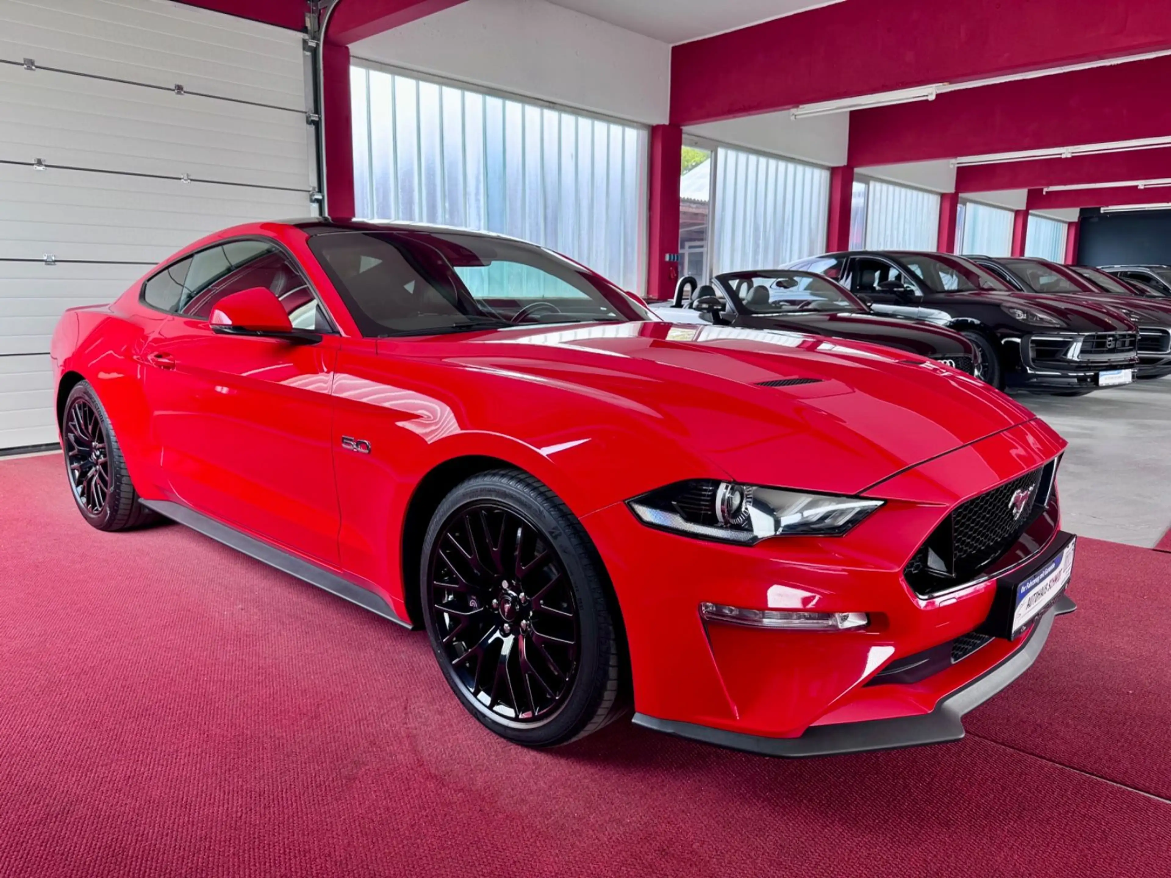 Ford Mustang GT Fastback 1Hand Deutsch ACC Performanc — photo 2