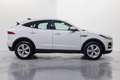 Jaguar E-Pace 2.0D I4 S AWD Aut. 163 Blanco - thumbnail 7
