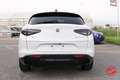 Alfa Romeo Stelvio 2.2 t Veloce Q4 210cv auto Bianco Alfa TETTO 21" Wit - thumbnail 6