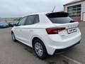 Skoda Fabia Selection LED DAB AppleCarPlay Spur Weiß - thumbnail 12