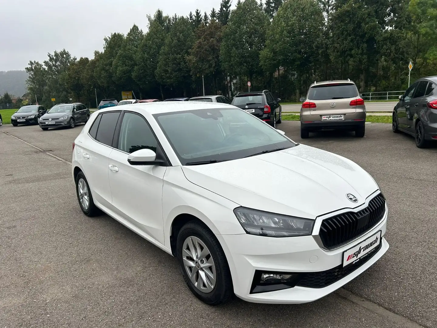 Skoda Fabia Selection LED DAB AppleCarPlay Spur Weiß - 2