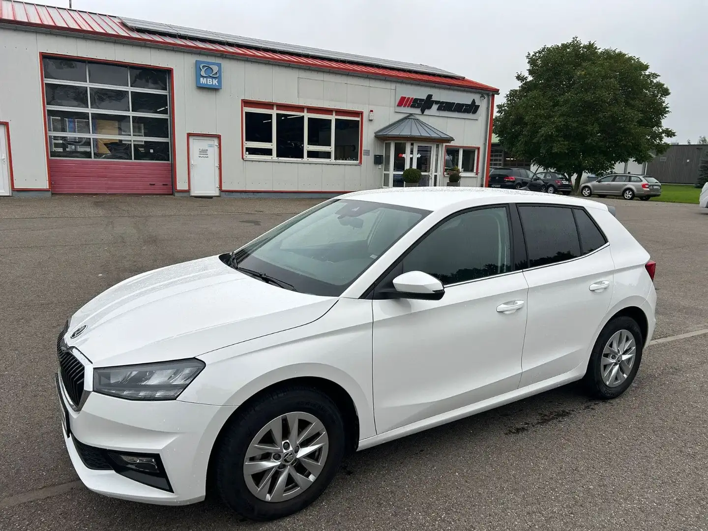 Skoda Fabia Selection LED DAB AppleCarPlay Spur Weiß - 1