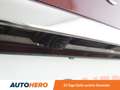 Renault Scenic 1.3 TCe BOSE-Edition Aut. *LED*SPUR*TOT*NAVI*CAM* Rot - thumbnail 30