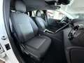 Mercedes-Benz C 220 C 220 d Mild hybrid S.W. Business Bianco - thumbnail 12