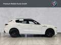 Maserati Levante GT Hybrid *MY23*+Pano+AHK+ Blanco - thumbnail 6