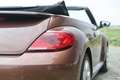 Volkswagen Beetle The Beetle Cabriolet 1.2 TSI (BlueMotion Tech) Des Bronz - thumbnail 9