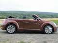 Volkswagen Beetle The Beetle Cabriolet 1.2 TSI (BlueMotion Tech) Des Bronz - thumbnail 5