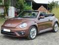 Volkswagen Beetle The Beetle Cabriolet 1.2 TSI (BlueMotion Tech) Des Bronz - thumbnail 7