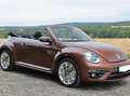 Volkswagen Beetle The Beetle Cabriolet 1.2 TSI (BlueMotion Tech) Des Bronz - thumbnail 13