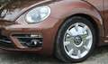 Volkswagen Beetle The Beetle Cabriolet 1.2 TSI (BlueMotion Tech) Des Bronz - thumbnail 15