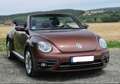 Volkswagen Beetle The Beetle Cabriolet 1.2 TSI (BlueMotion Tech) Des Bronz - thumbnail 6