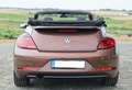 Volkswagen Beetle The Beetle Cabriolet 1.2 TSI (BlueMotion Tech) Des Bronz - thumbnail 4