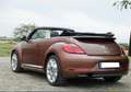 Volkswagen Beetle The Beetle Cabriolet 1.2 TSI (BlueMotion Tech) Des Bronz - thumbnail 8