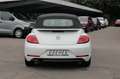 Volkswagen Beetle Beetle Cabriolet 1.2 TSI BMT Sound Navi/Klima/BC Blanc - thumbnail 6