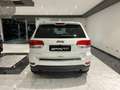 Jeep Grand Cherokee 3.0 V6 CRD 250CV MULTIJET II LIMITED Blanco - thumbnail 17