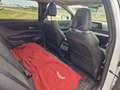 Nissan Ariya Ariya 87 kWh e-4ORCE AWD Evolve Pack Blanc - thumbnail 11