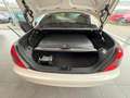 Mercedes-Benz SLK 55 AMG SLK Roadster,memory, scarf, windschot Weiß - thumbnail 10