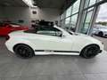 Mercedes-Benz SLK 55 AMG SLK Roadster,memory, scarf, windschot Weiß - thumbnail 8