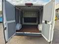 Fiat Ducato 30 2.3 MJT 130CV PC-TN Furgone bijela - thumbnail 14
