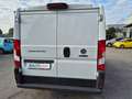 Fiat Ducato 30 2.3 MJT 130CV PC-TN Furgone bijela - thumbnail 4